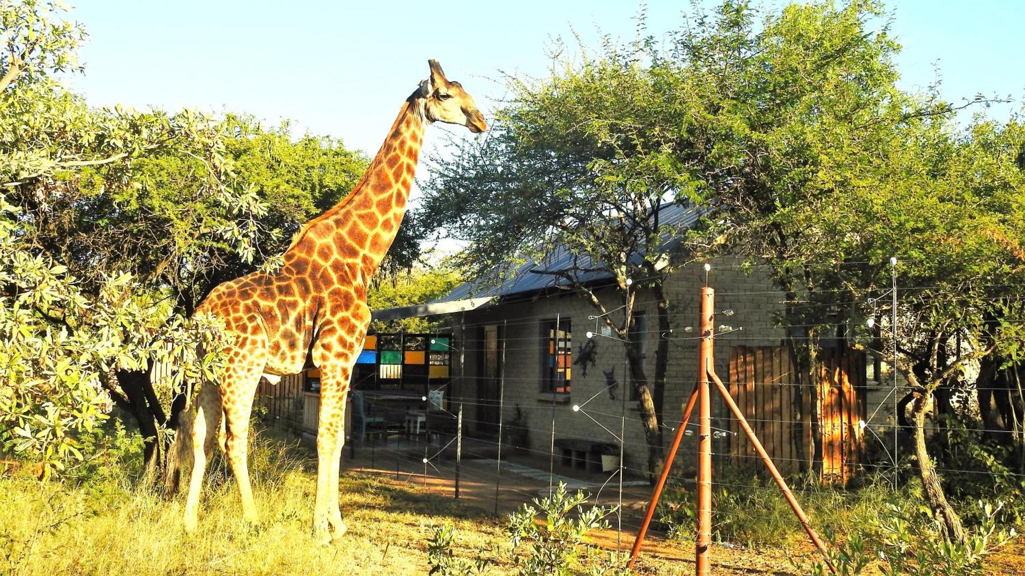 Marulani Bush Lodge Klipdrift エクステリア 写真